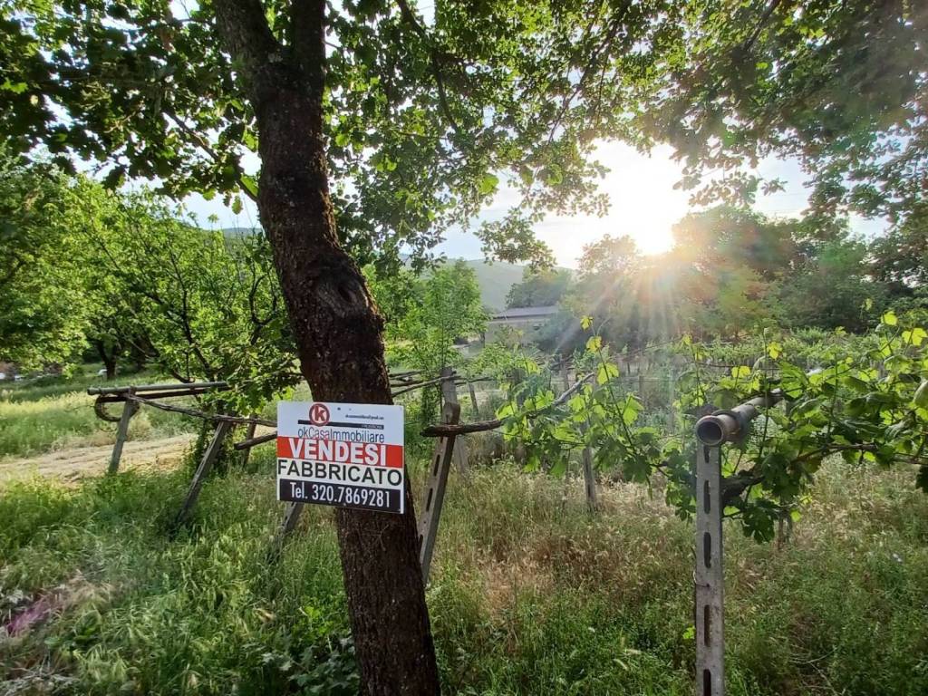 Terreno a Amaseno in Via Farneti - Foto 3