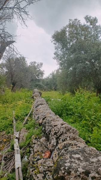 Terreno a Floridia - Foto 5