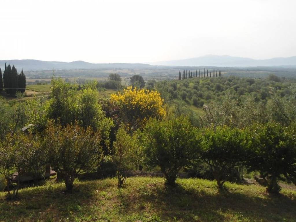 Rustico / casale a Roccastrada - Foto 2