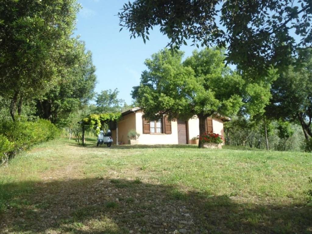 Rustico / casale a Roccastrada - Foto 5