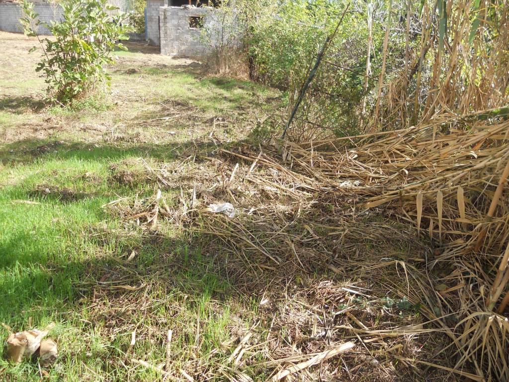 Terreno a Celano - Foto 4