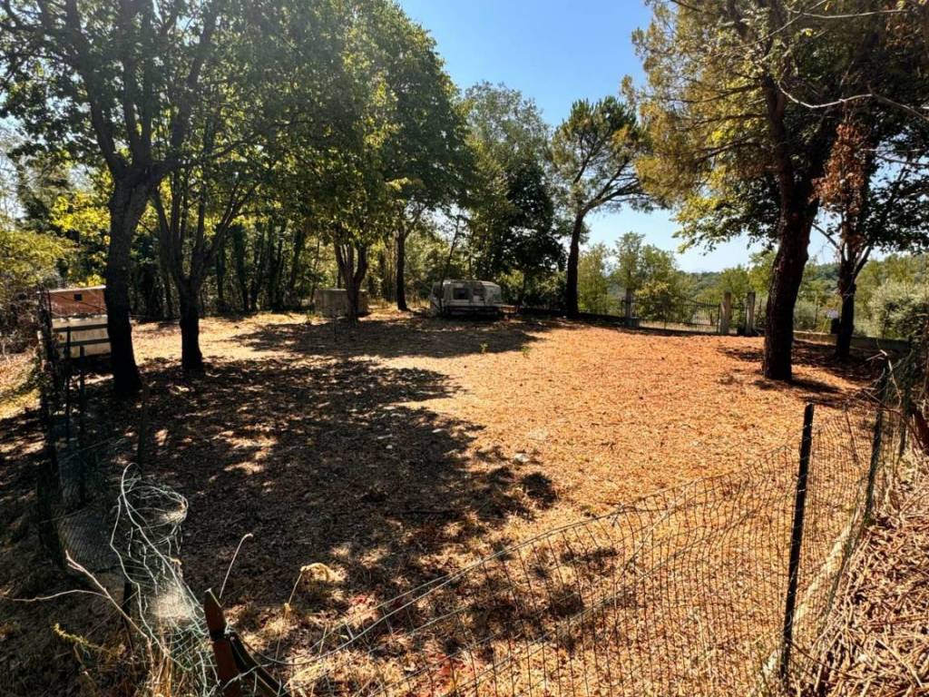 Terreno a Montegiorgio - Foto 2
