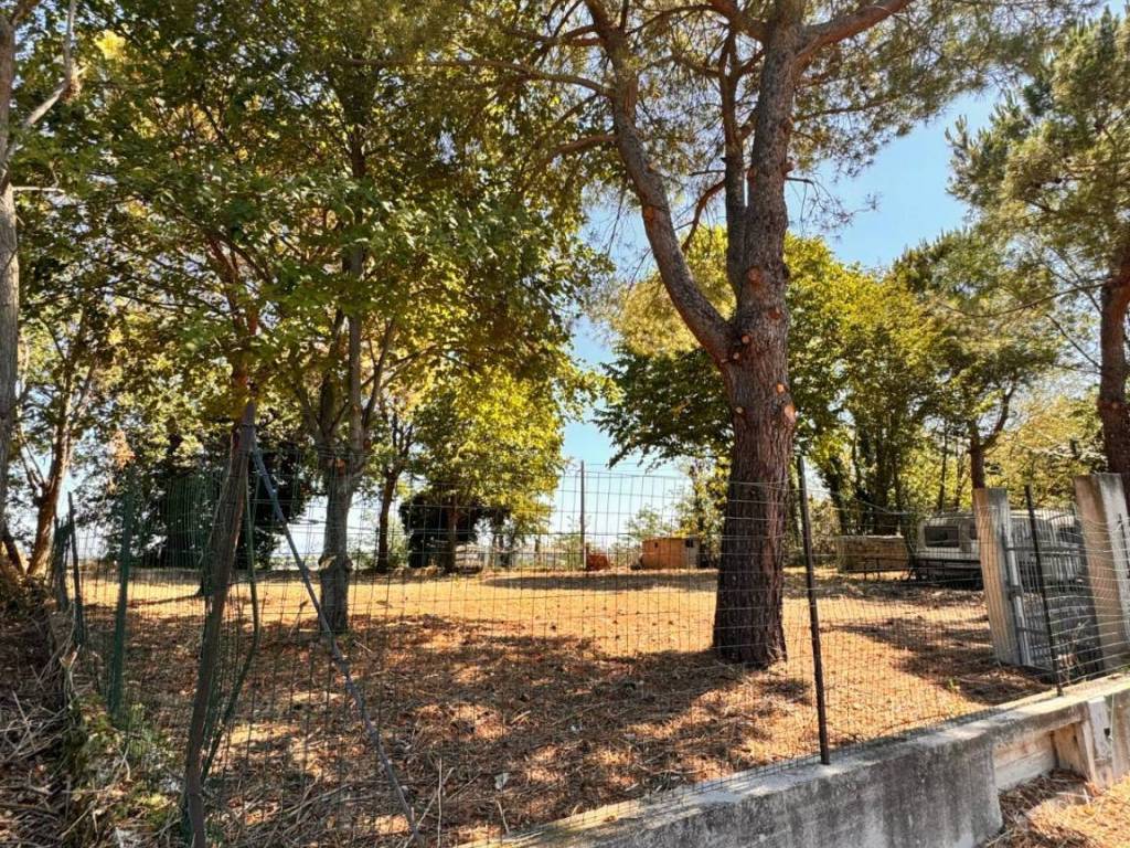 Terreno a Montegiorgio - Foto 3