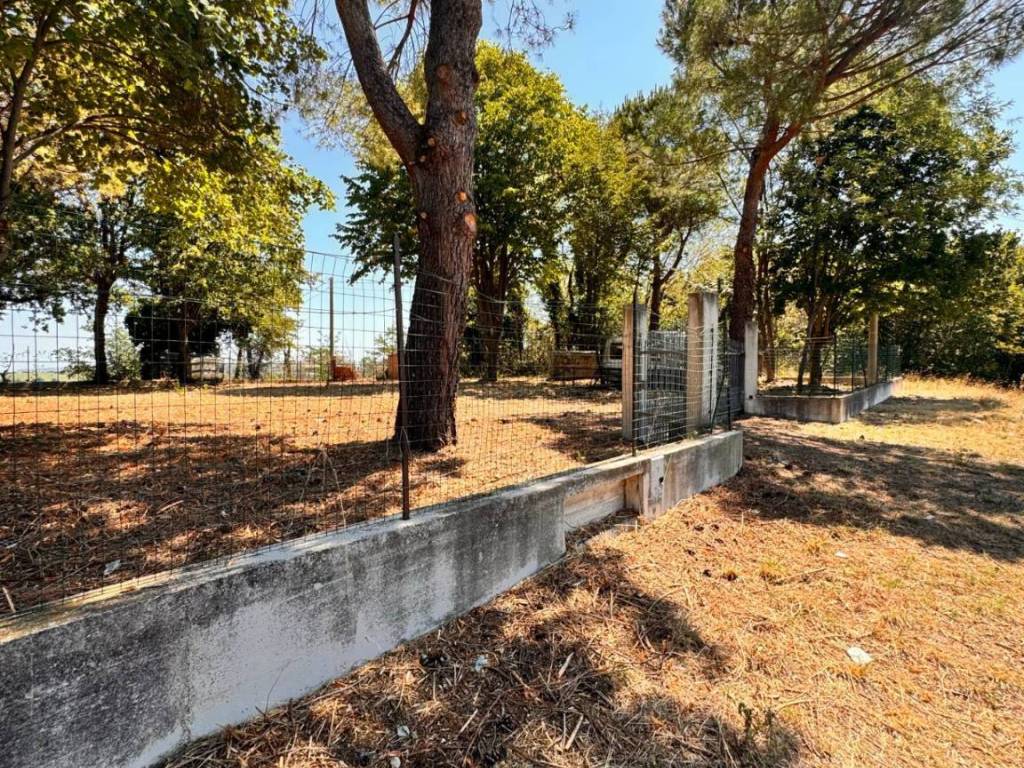 Terreno a Montegiorgio - Foto 4