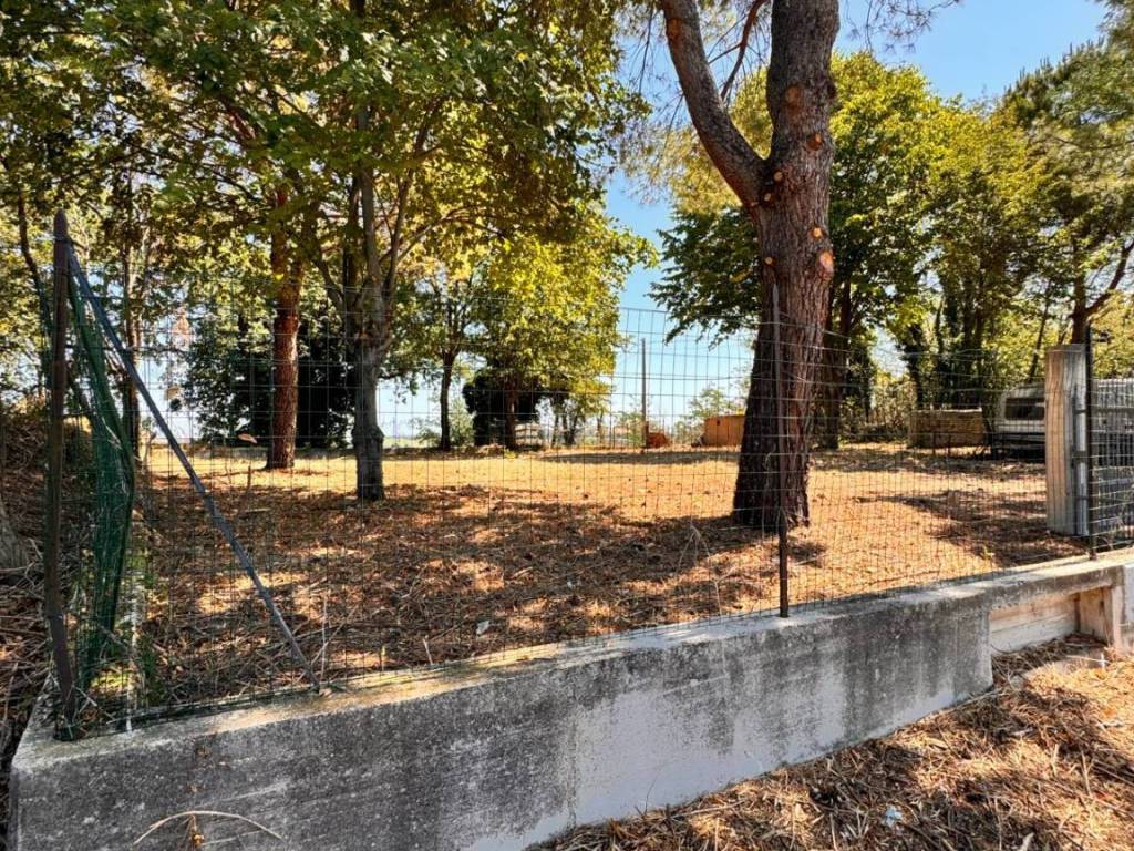 Terreno a Montegiorgio - Foto 5