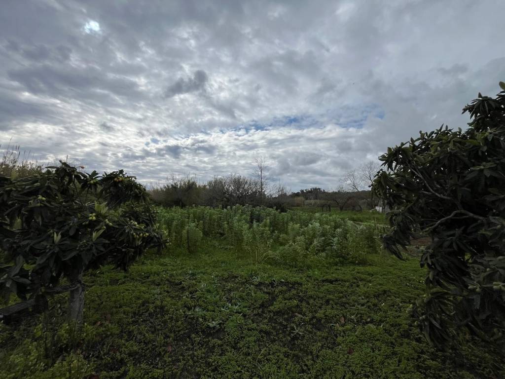 Terreno a Tortolì in Via dell'Aereoporto - Foto 4