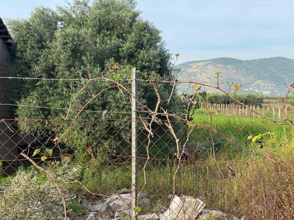 Rustico / casale a Fondi - Foto 5