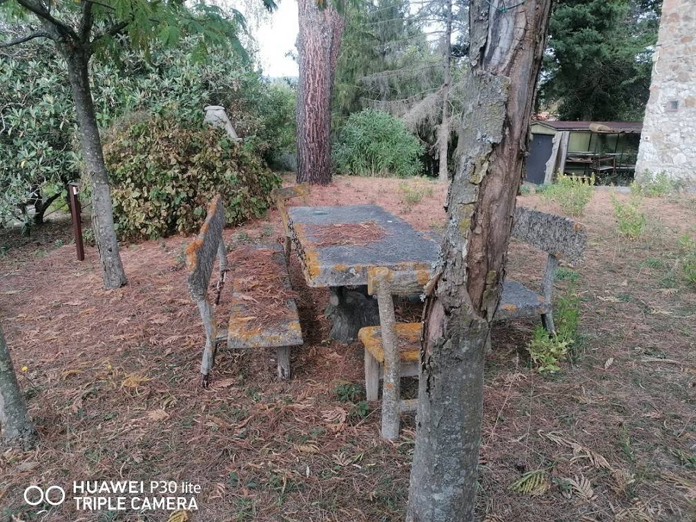 Rustico / casale a Massa marittima in Via Massetana - Foto 3
