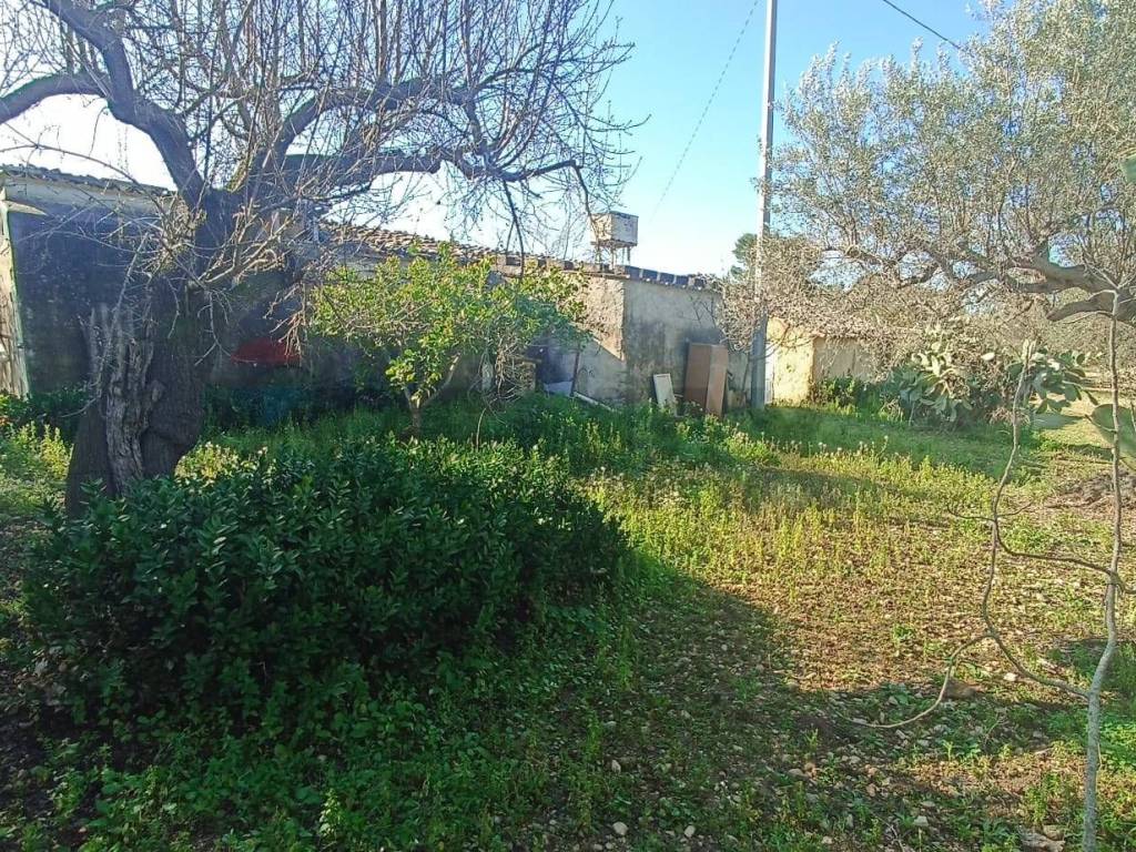 Rustico / casale a Chiaramonte gulfi in contrada mandredonna - Foto 5
