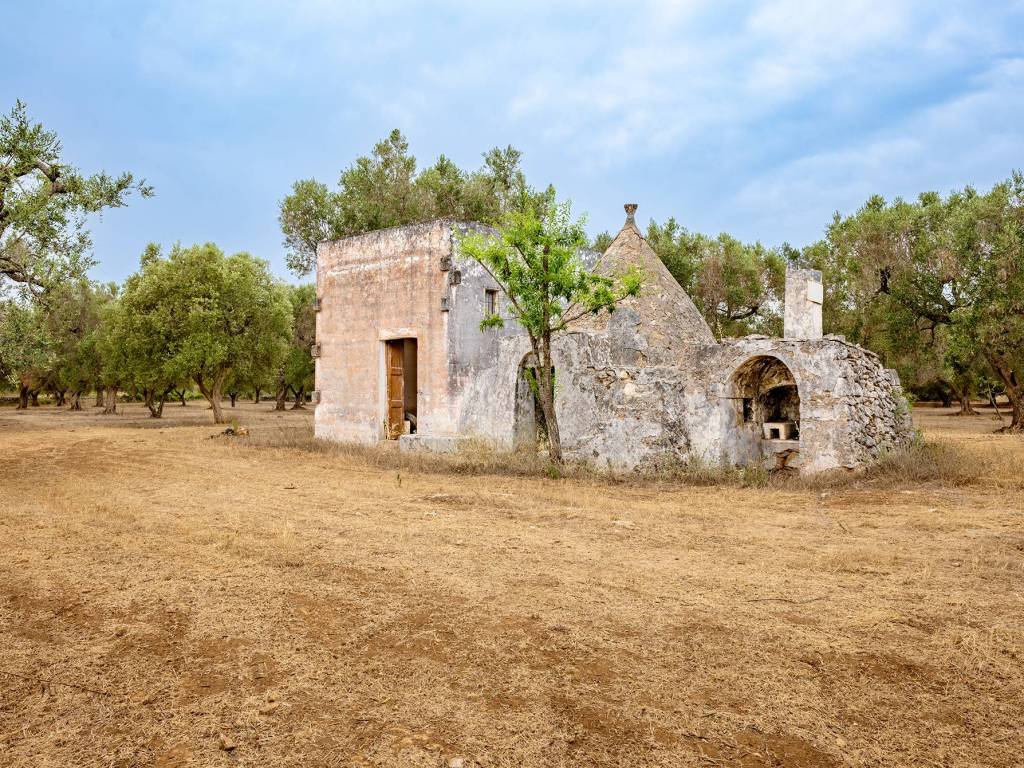 Terreno a Francavilla fontana in Via per Grottaglie - Foto 3