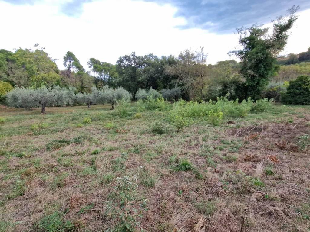 Terreno a Pescara - Foto 2