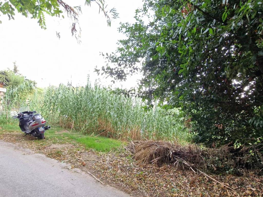 Terreno a Pescara - Foto 3