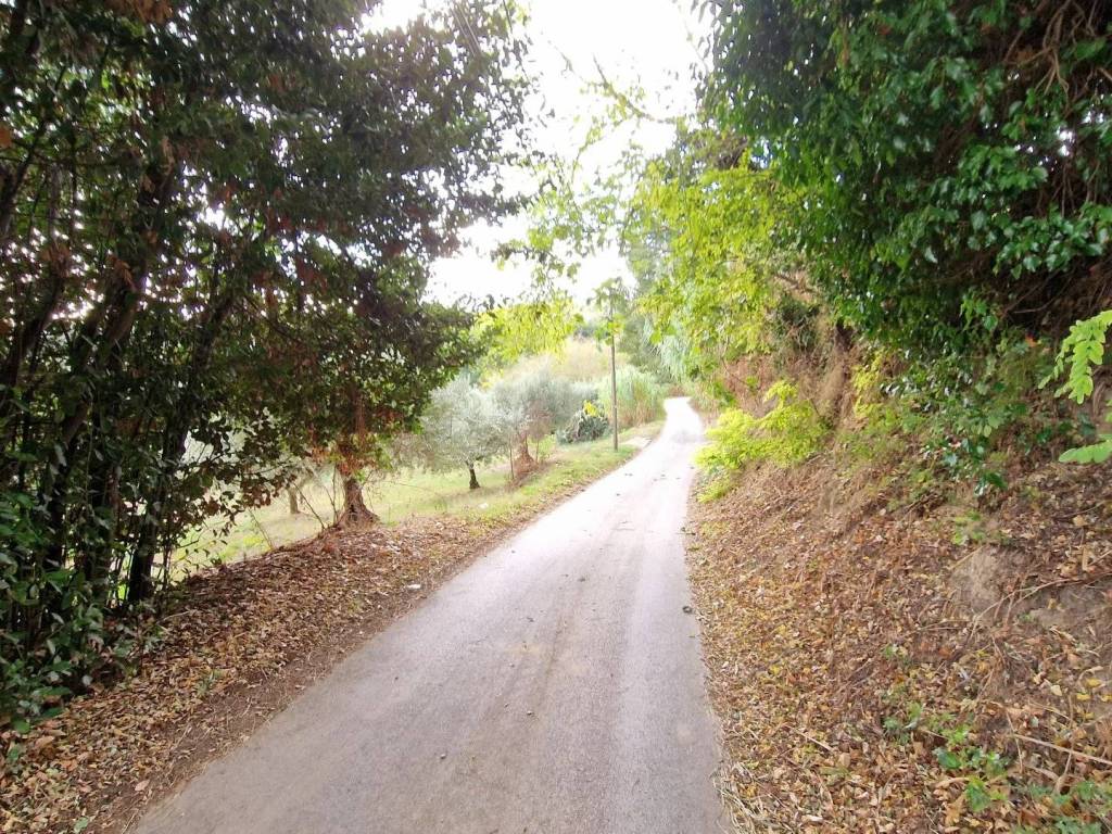 Terreno a Pescara - Foto 5