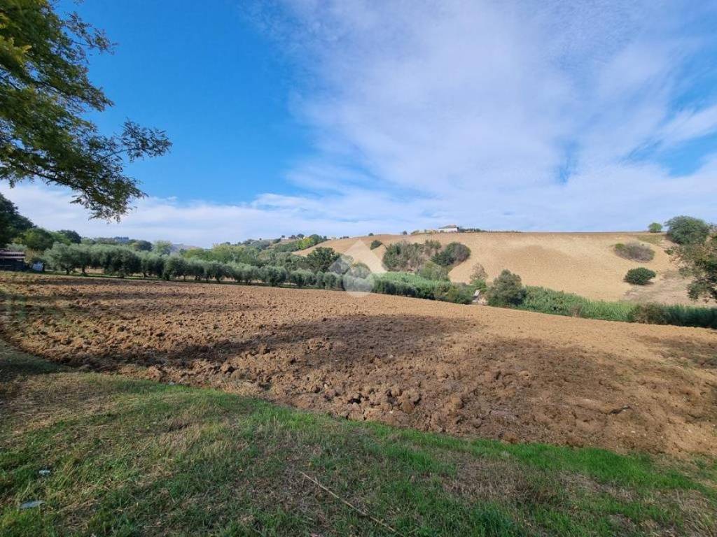 Terreno a Morro d'oro in Via SP22b, 1 - Foto 3