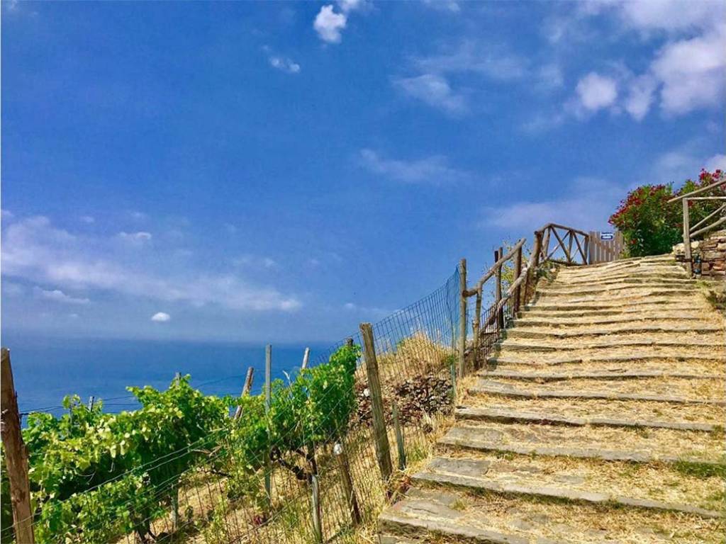 Rustico / casale a La spezia in Casotti - Foto 3