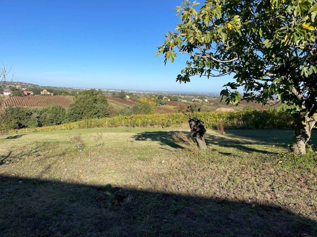Villa a Castelvetro di modena - Foto 5