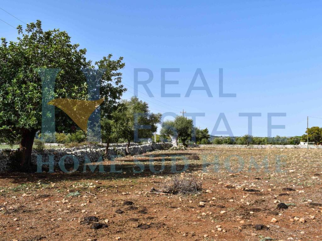 Terreno a Noto in Via Tommaso Fazello, 228 - Foto 2