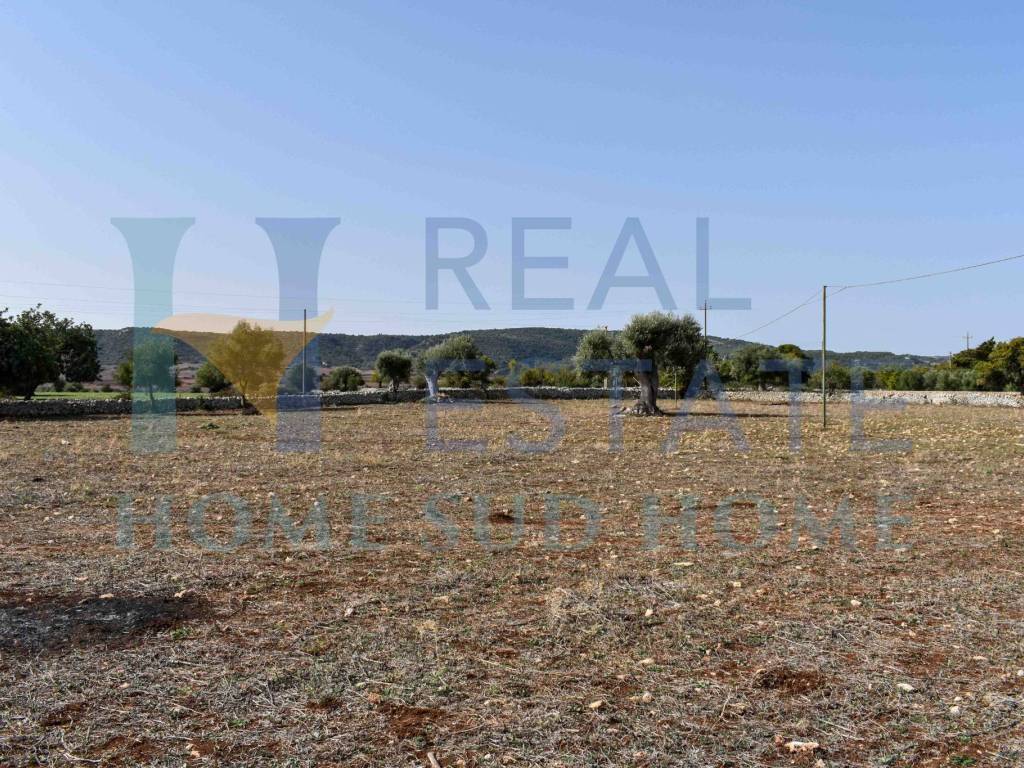 Terreno a Noto in Via Tommaso Fazello, 228 - Foto 3