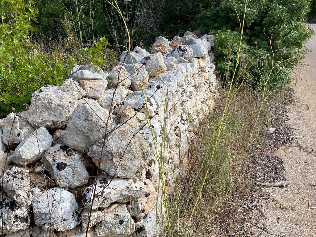 Terreno a Salve in Contrada Cantoro - Foto 2