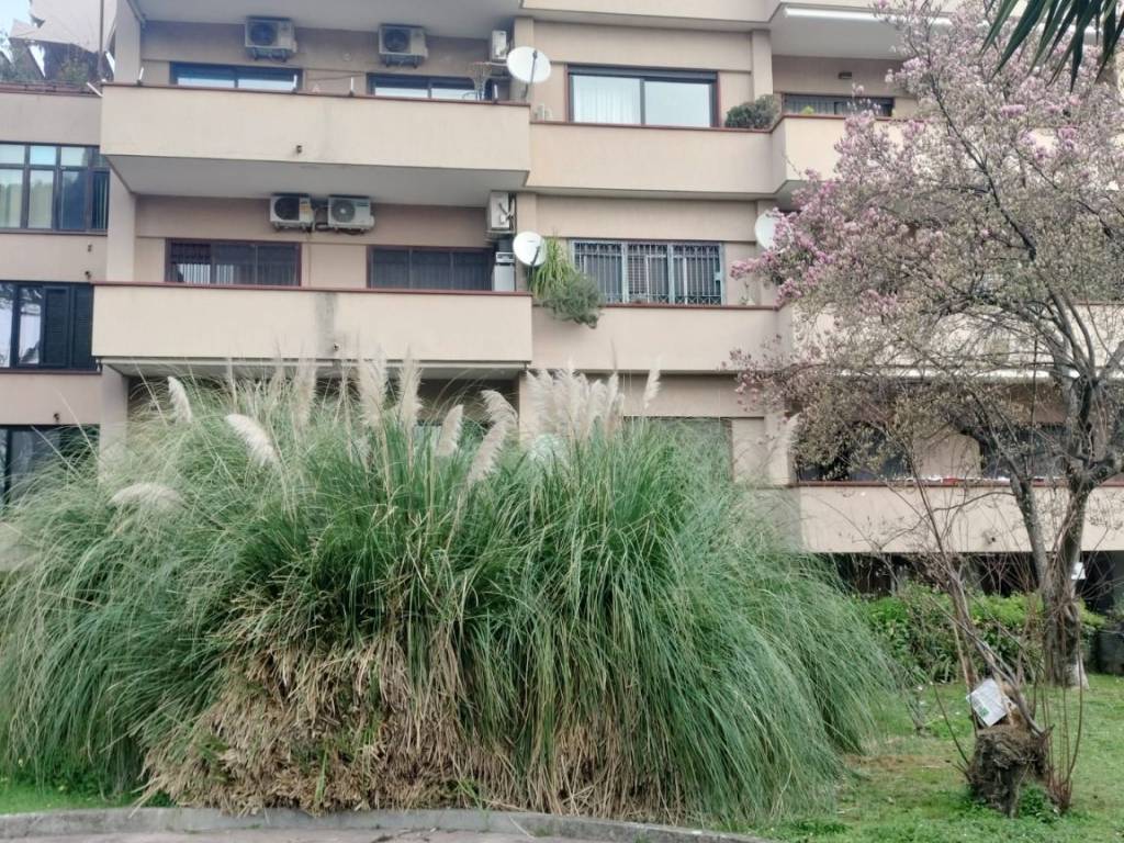 Appartamento a Caserta in Via Francesco Marchesiello - Foto 3