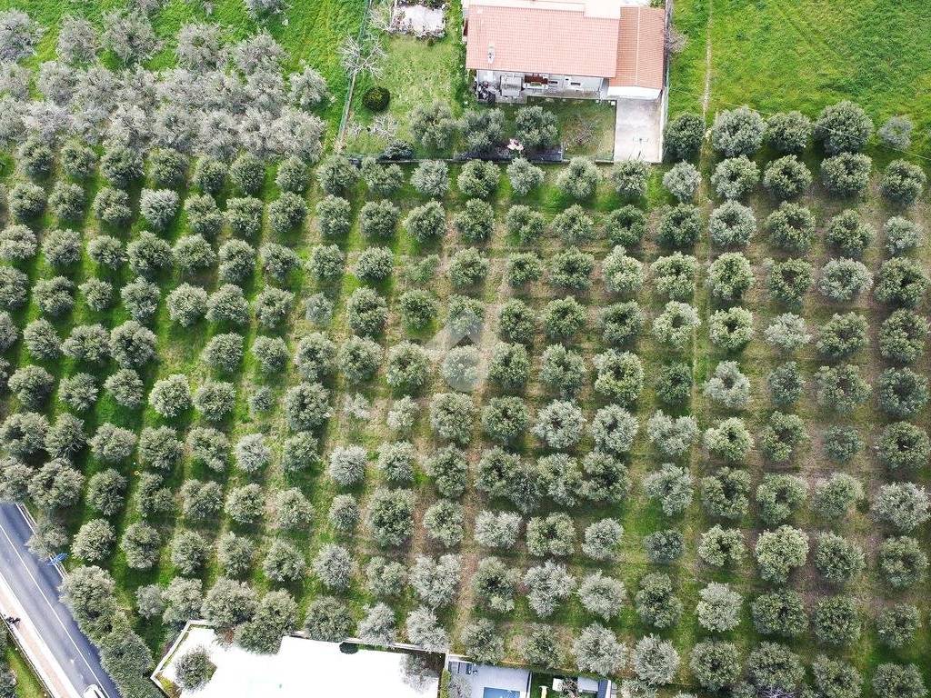 Terreno a Tortoreto in Via Enzo Ferrari, 14 - Foto 4