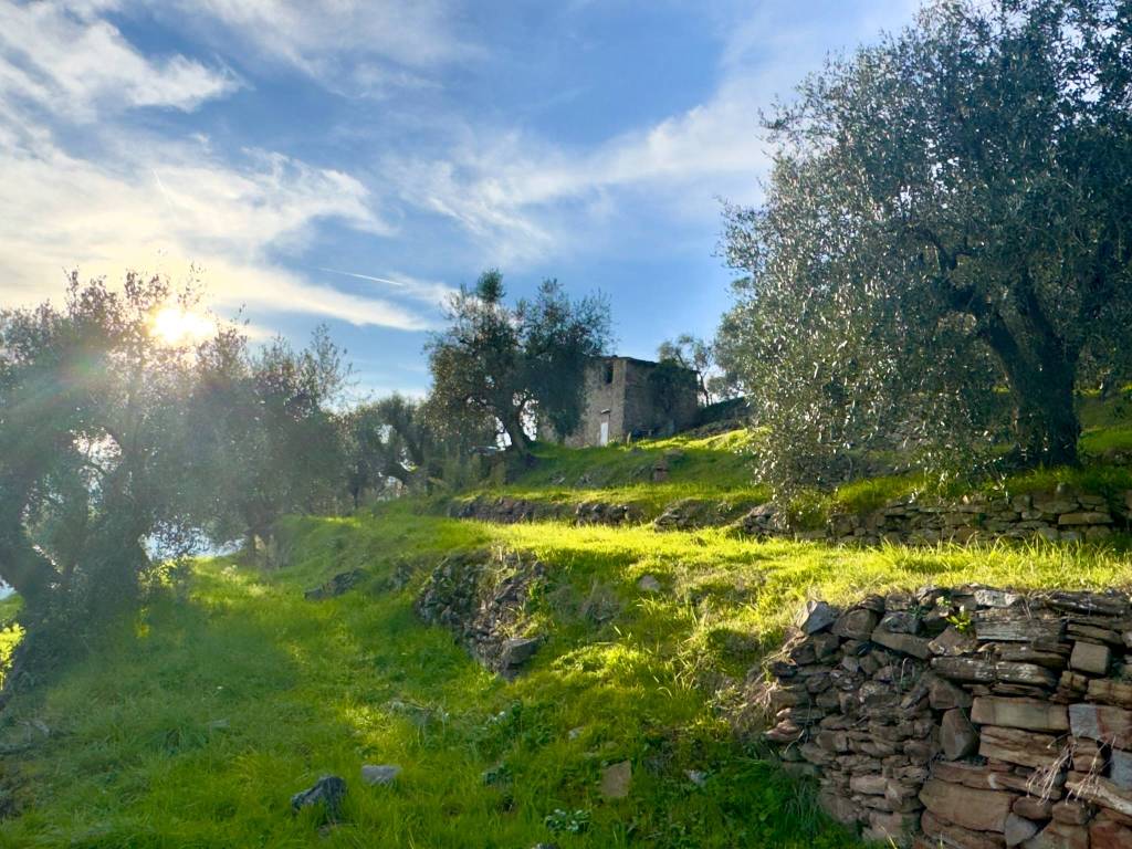 Terreno a Dolceacqua in Località San Gragorio - Foto 2