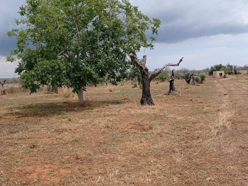 Terreno a Ugento in Via Salve - Foto 3