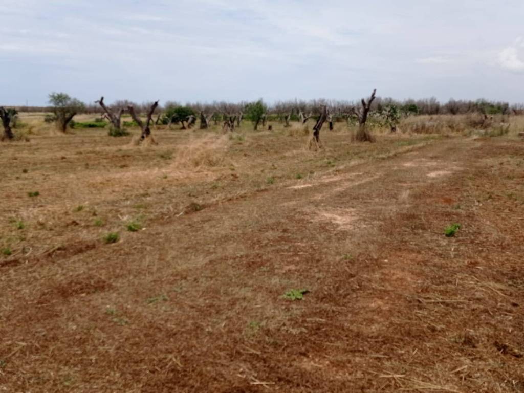 Terreno a Ugento in Via Salve - Foto 4