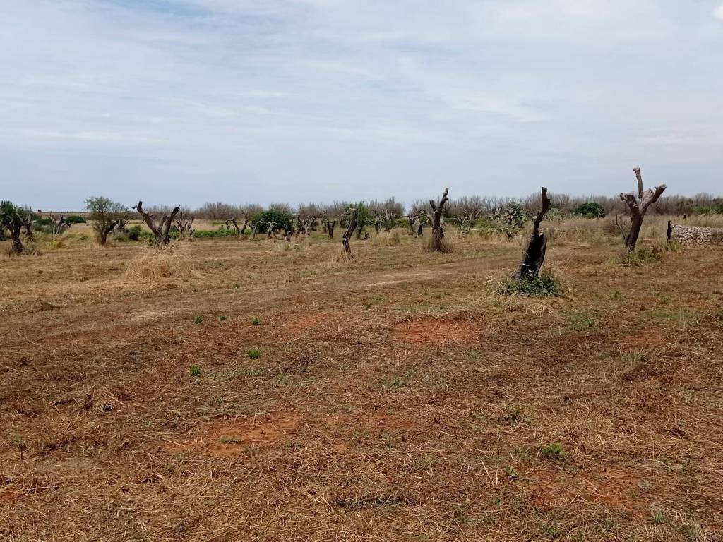 Terreno a Ugento in Via Salve - Foto 5