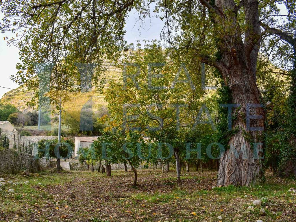 Rustico / casale a Noto in Via Tommaso Fazello, 228 - Foto 3