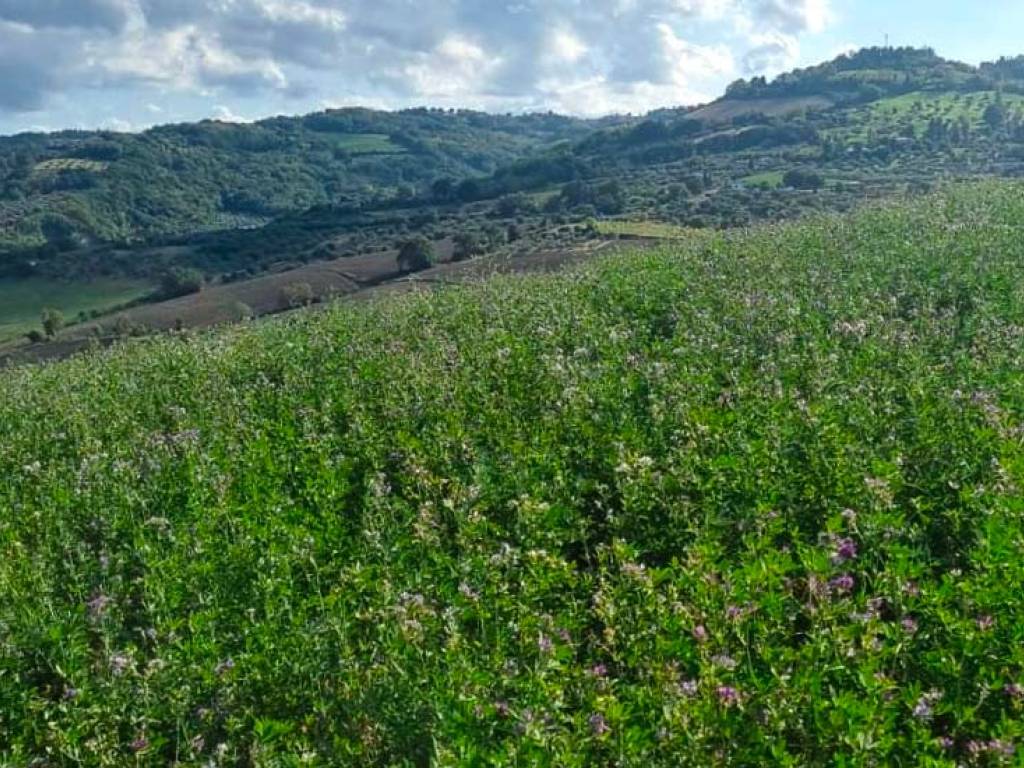 Terreno a Saludecio in Via La Busca - Foto 4