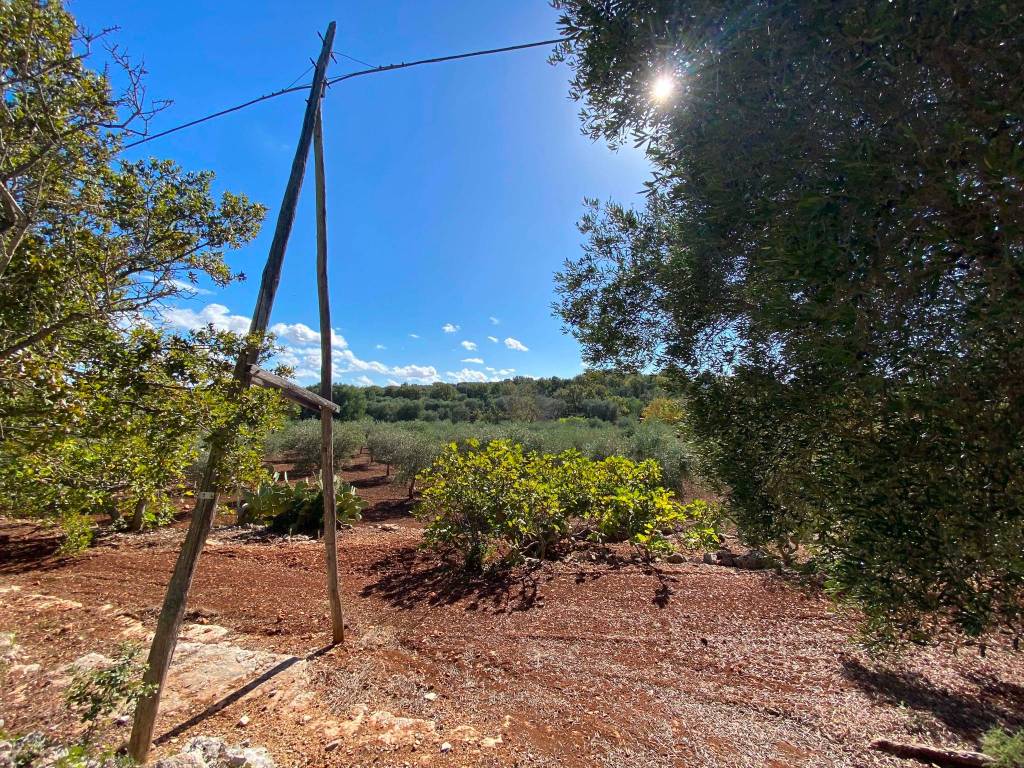 Rustico / casale a Ceglie messapica in Contrada Recupero - Foto 2