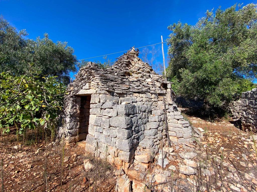 Rustico / casale a Ceglie messapica in Contrada Recupero - Foto 5