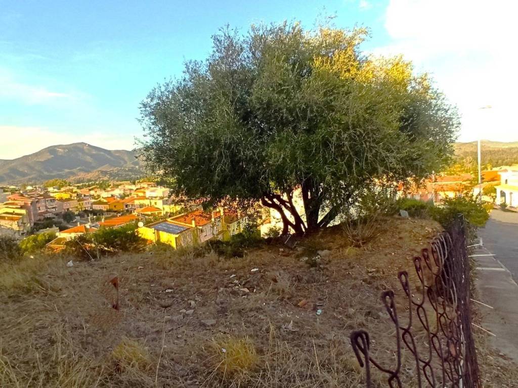 Terreno a Muravera in Via Arno, 5 - Foto 5