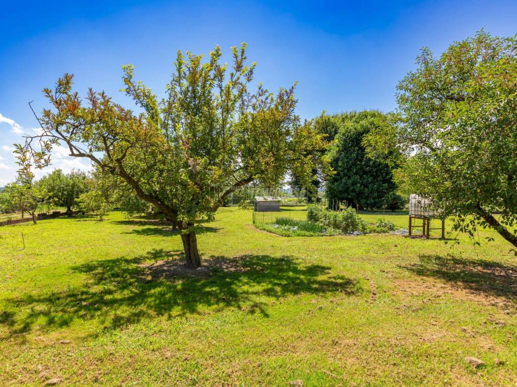 Villa a Crescentino in Strada Rabeto - Foto 5