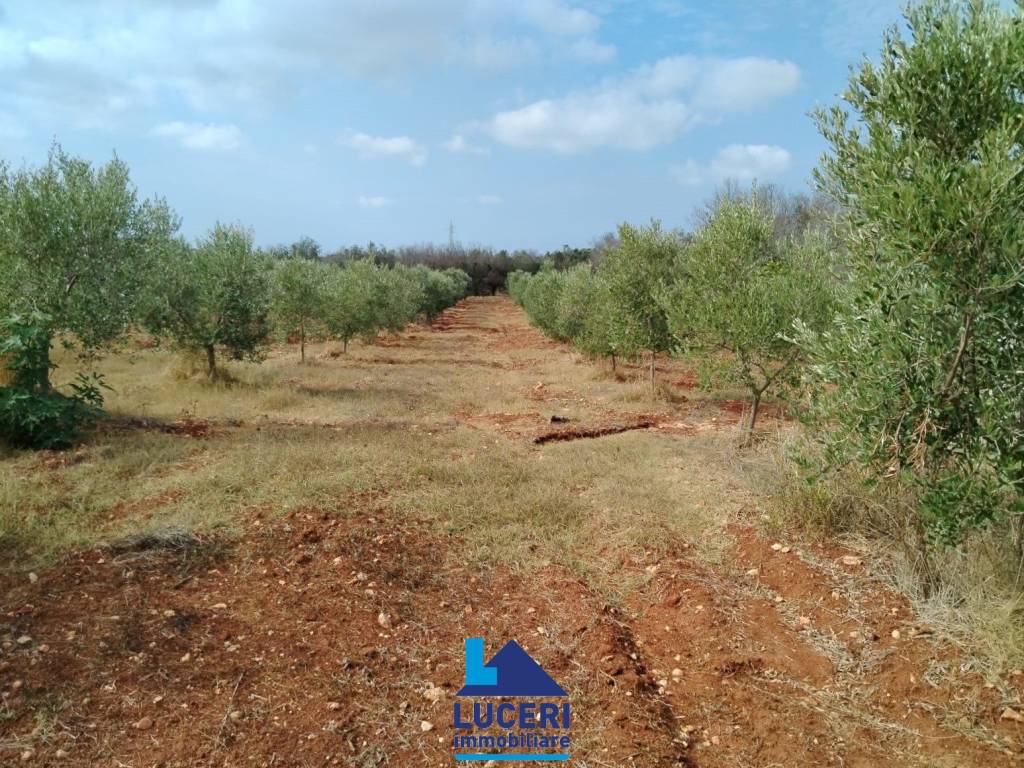 Terreno a Sannicola in SP52 - Foto 2