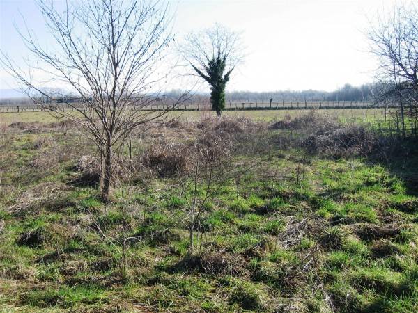Terreno a San vito al torre in Via Belvedere - Foto 2