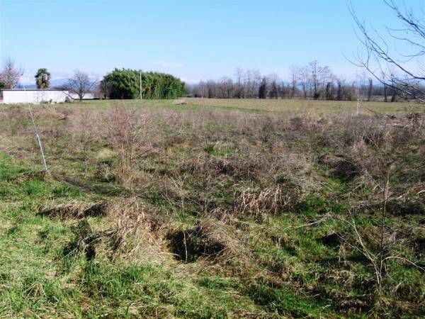 Terreno a San vito al torre in Via Belvedere - Foto 3