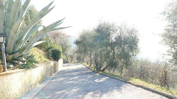 Rustico / casale a Massa e cozzile - Foto 4