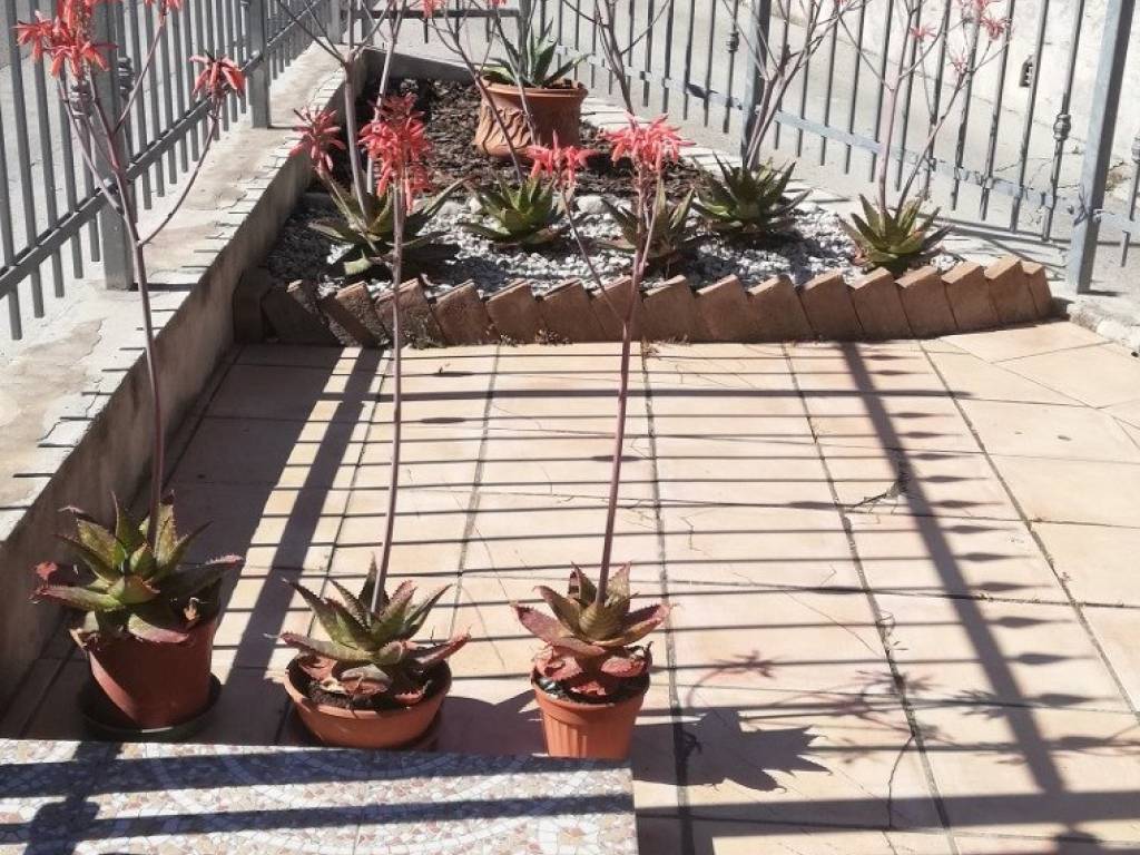 Villa a Cepagatti in Via Gabriele D'Annunzio, 20 - Foto 4