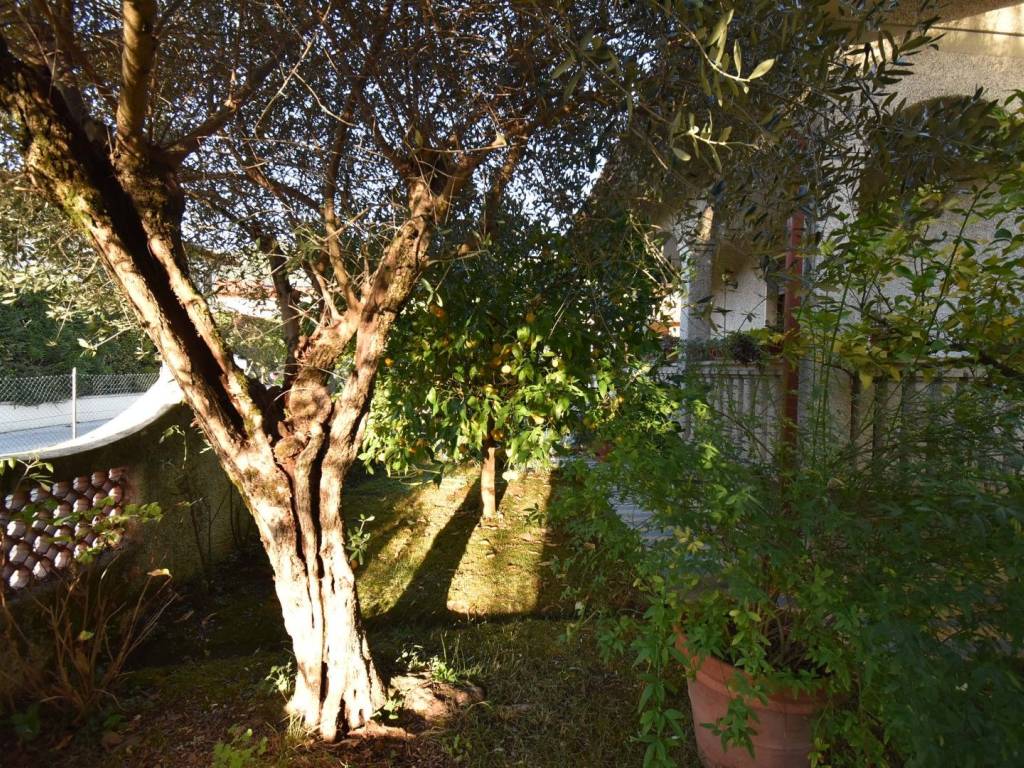 Villa a Pietrasanta in Via Bozza, 16 - Foto 5