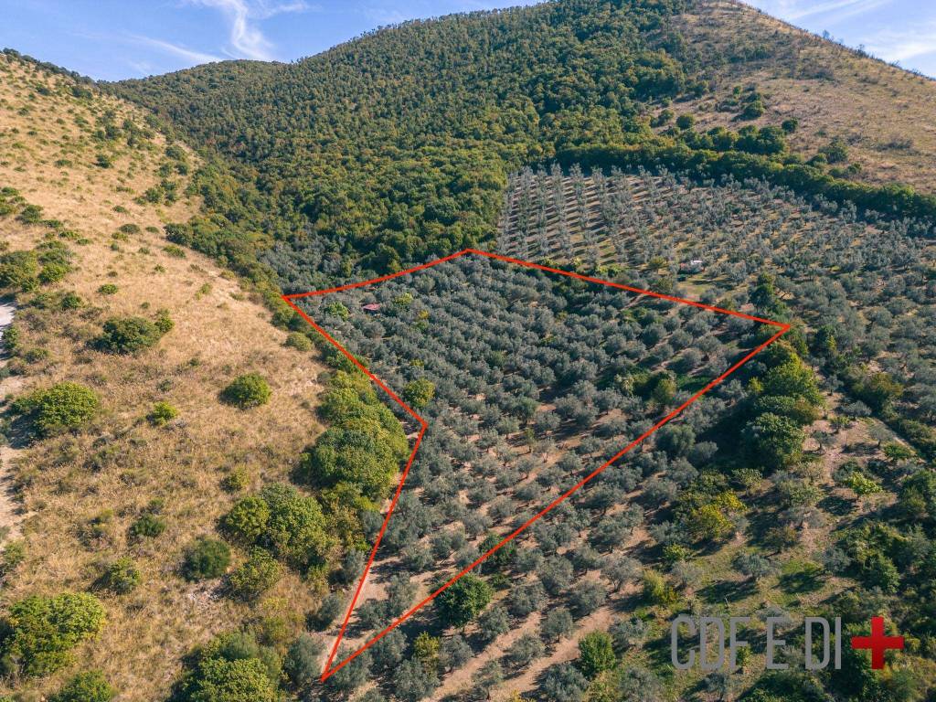 Rustico / casale a Scandriglia in Via Santa Maria del Colle - Foto 3