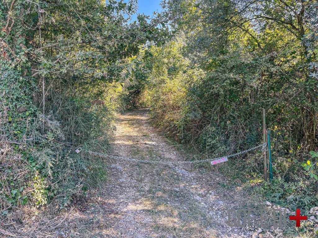 Rustico / casale a Scandriglia in Via Santa Maria del Colle - Foto 4
