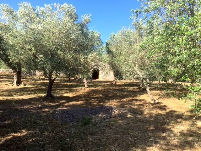 Terreno a Tricase in Zona industriale - Foto 4