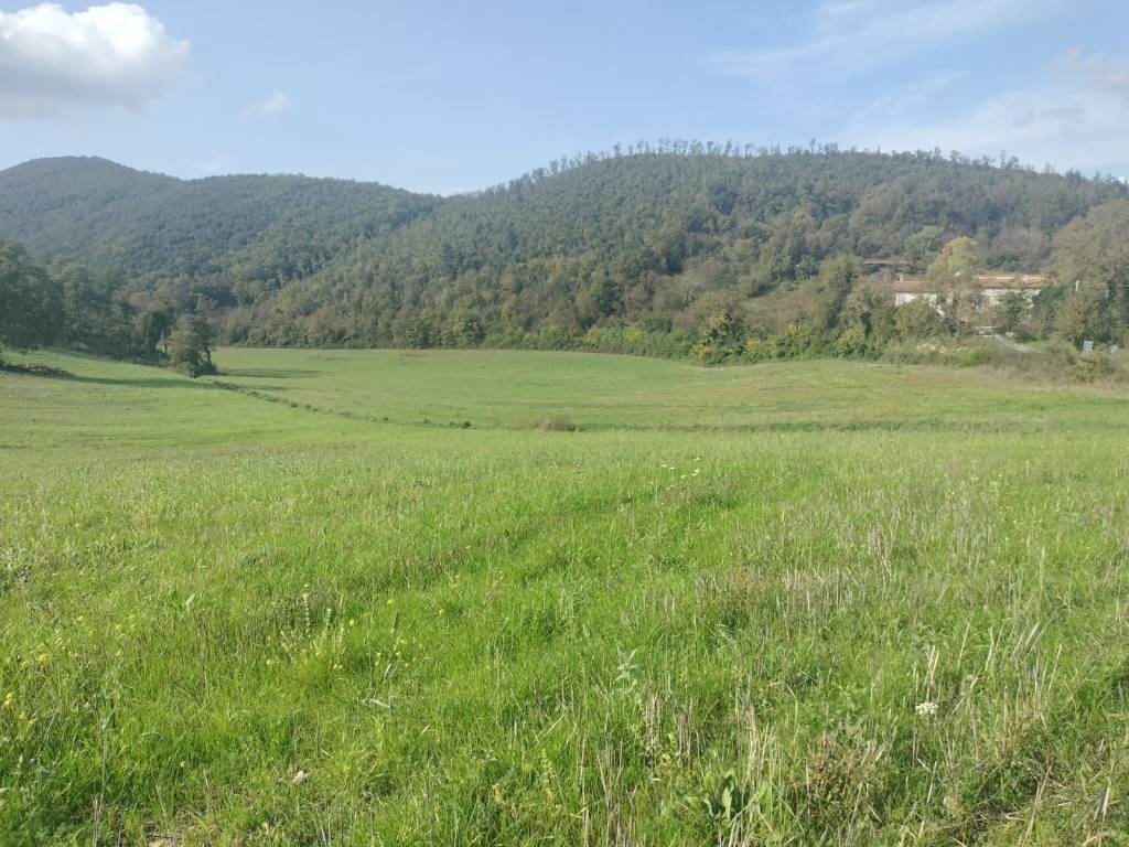 Terreno a Colli sul velino in Località Colle Rosso - Foto 2