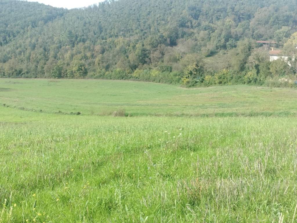 Terreno a Colli sul velino in Località Colle Rosso - Foto 3