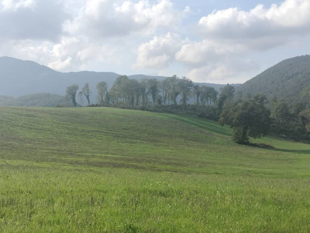 Terreno a Colli sul velino in Località Colle Rosso - Foto 5