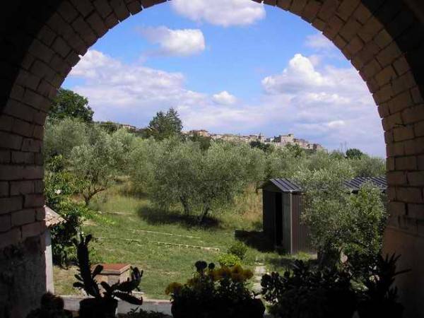 Rustico / casale a Castiglione in teverina in Strada della Lega - Foto 4