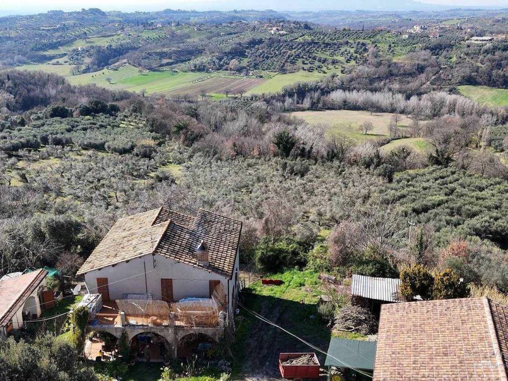 Rustico / casale a Torri in sabina in strada romana vecchia - Foto 5