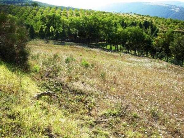 Terreno a San severino marche - Foto 2